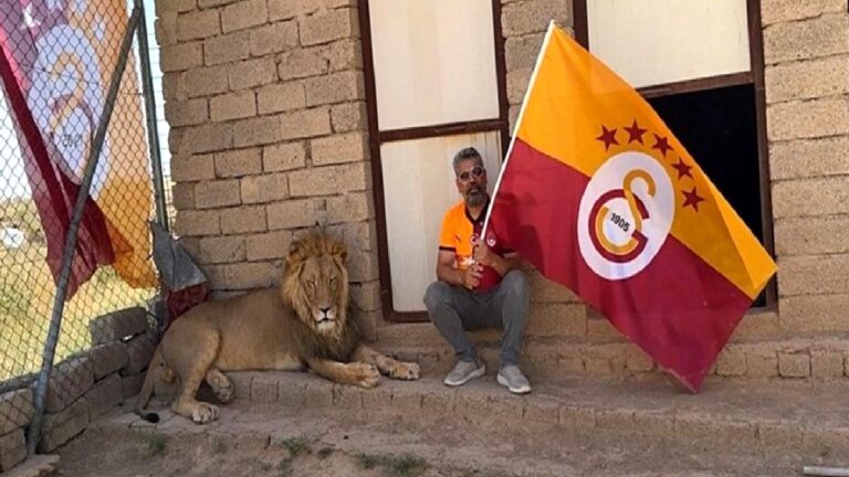Galatasaraylı taraftar şampiyonluğu aslanlarıyla kutladı