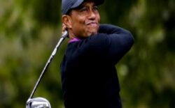 Tiger Woods, kaza sonrası kefaletle serbest